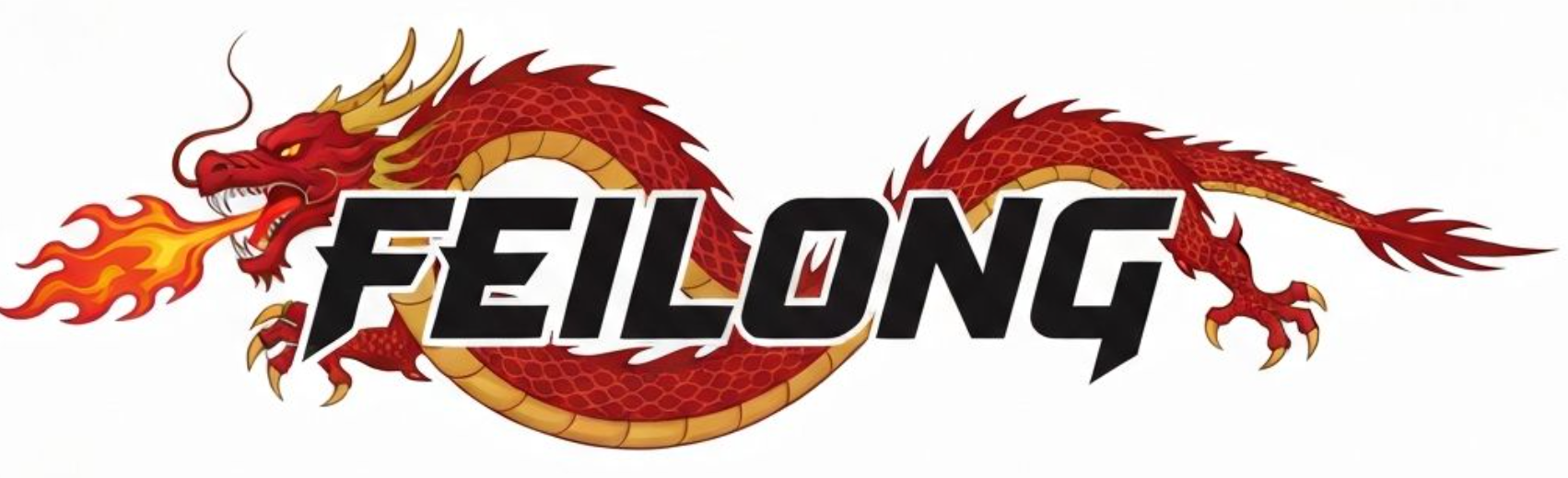 FEILONG